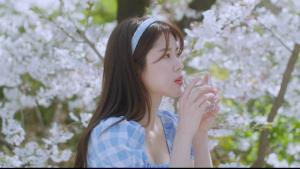 [CLOZU] Cherry blossom 樱花-羽飞阁